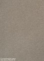 FC-26-ALPACA-ALPACA-Tollegno-600x819-1.jpg