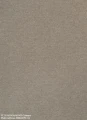 FC-26-ALPACA-ALPACA-Tollegno-600x819-1.jpg