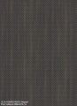 LR-29-CHEOPE-FIOCCO-Fittipaldi-600x819-1.jpg