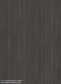 LR-29-CHEOPE-FIOCCO-Fittipaldi-600x819-1.jpg