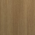 quercia_s203_1.jpg