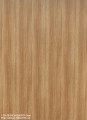 S-203-QUERCIA-QUERCIA-Dora-600x819-1.jpg