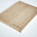 s206-quercia-2.jpg