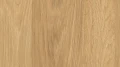 AR_16_9-1.webp