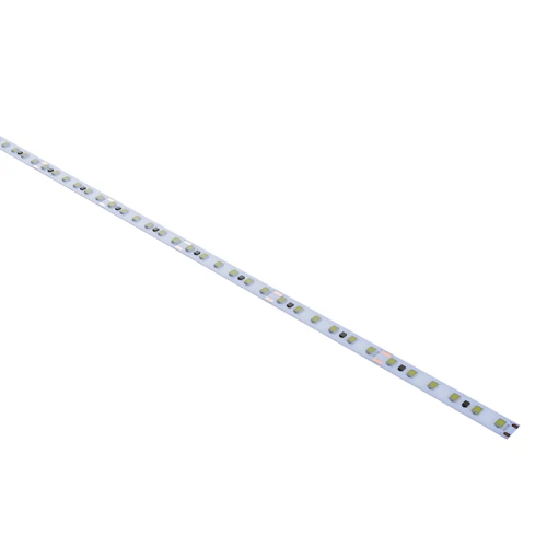SLE.png