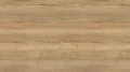 AR_16_9.webp