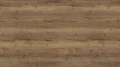 AR_16_9 (1).webp