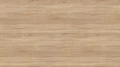 AR_16_9 (2).webp