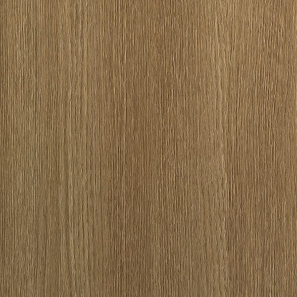 quercia_s203_1.jpg