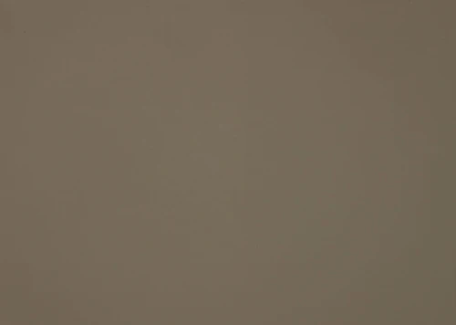 0717-scaled.jpeg