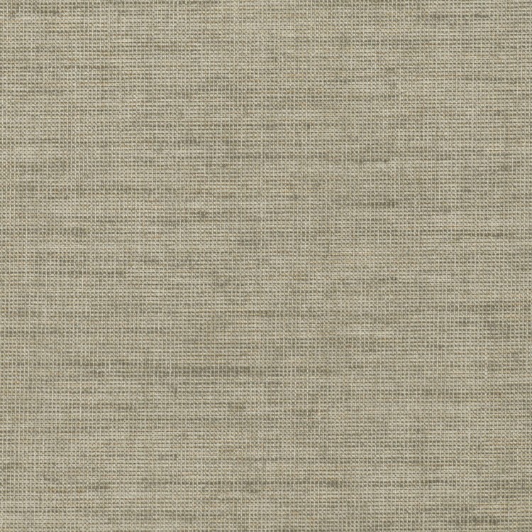 alpaca-fd31.jpg