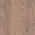 4627-rovere-valdweg_aleve_0-800x800.jpg