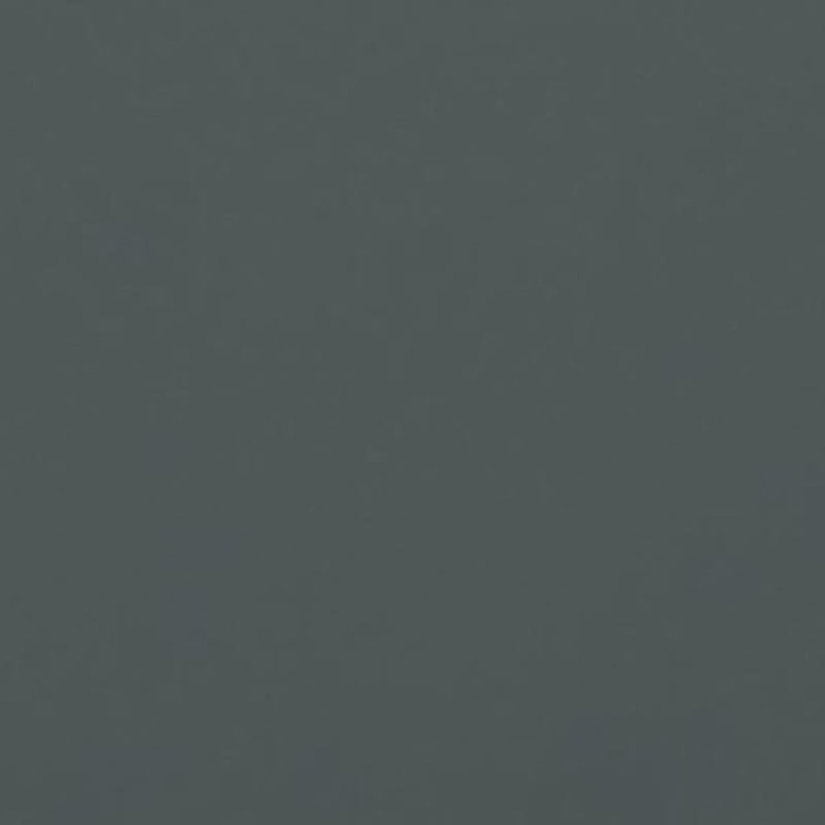 fenix-0750-600x900-2.jpg