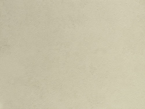 Cleaf Taranta FD10.jpg