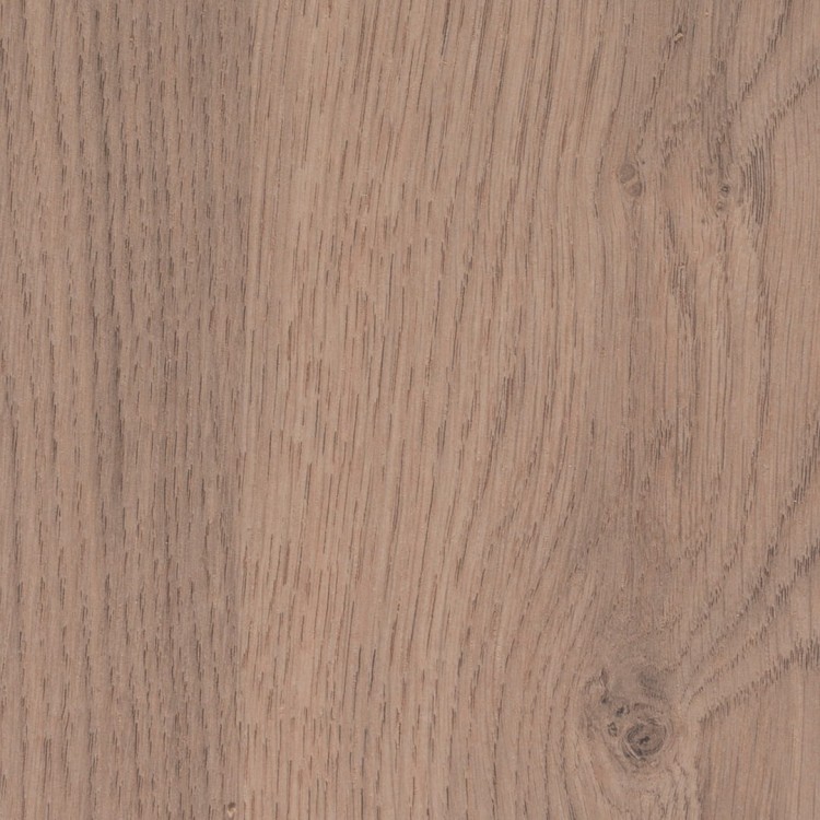 4627-rovere-valdweg_aleve_0.jpg