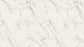 8001c.webp