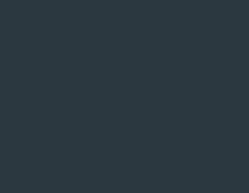 U590.png