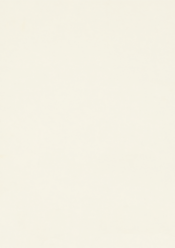 W960_A3_10DE_fur.png