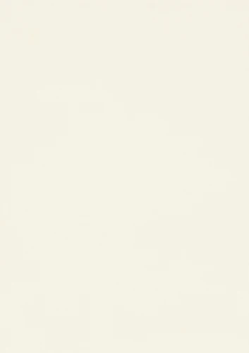 W960_A3_10DE_fur.png