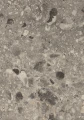 F021_A3_10DE_fur.png