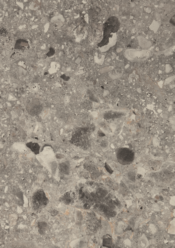 F021_A3_10DE_fur.png