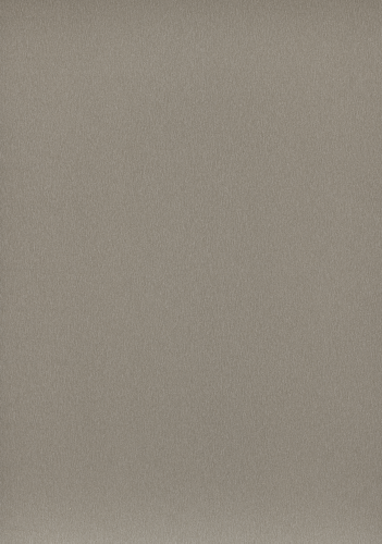 F502_A3_10DE_fur.png