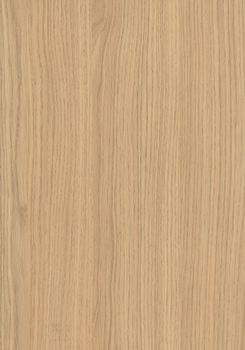 H3157_A3_10DE_fur.png
