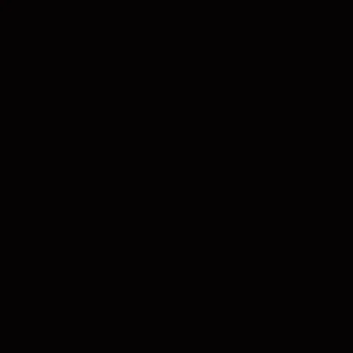 999 TM9.png