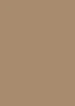 U250 ST9 ABS 43/2 Karmelowy beż 26+