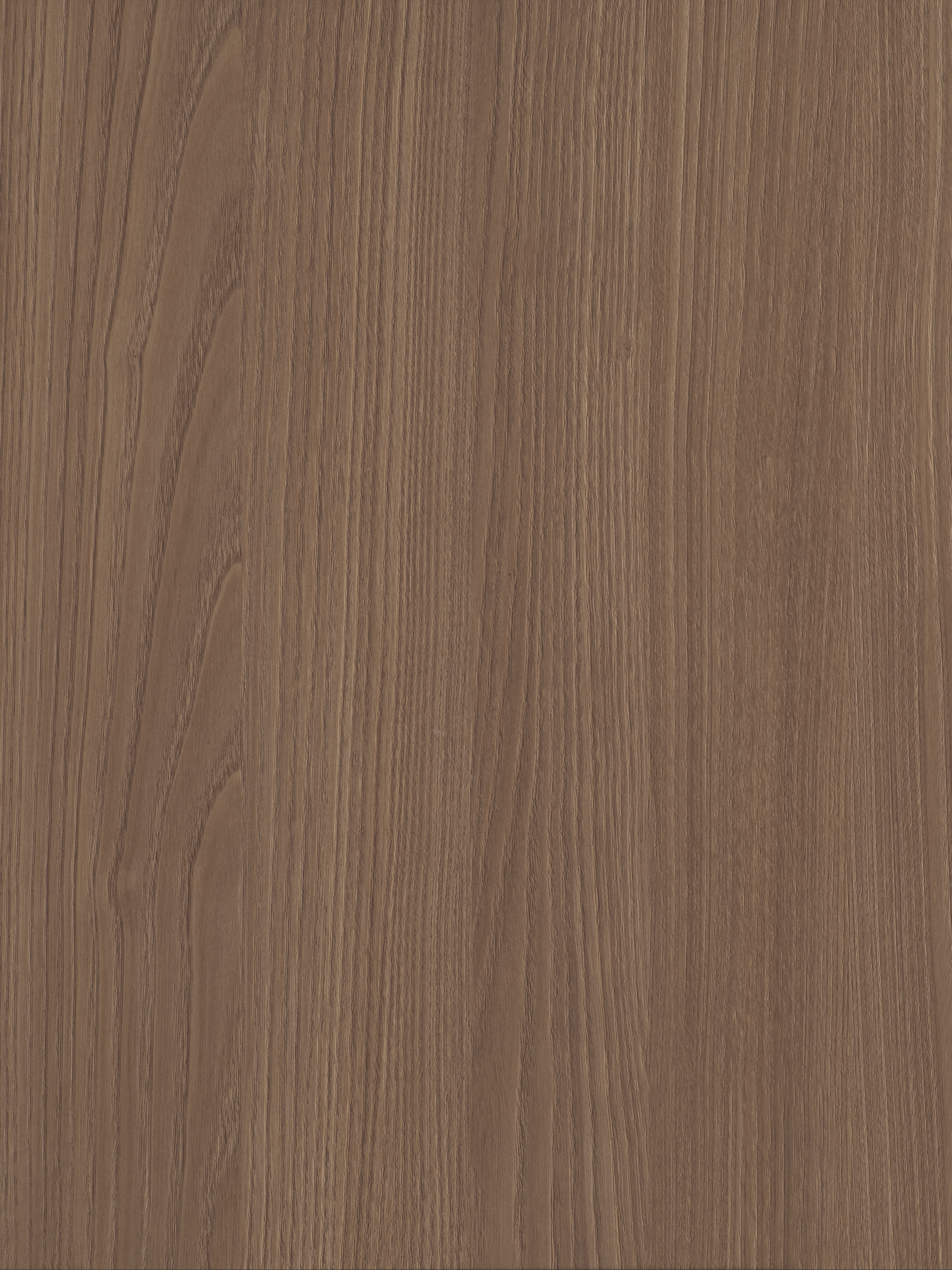 S215 CORTECCIA/CORTECCIA Płyta wiórowa 2800x2070x18mm CLEAF